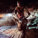 Levi Hammons - @levyleveraction - Instagram