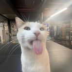 Levi Haney - Facebook