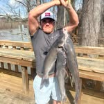 Levi Harrell - @levi.harrell - Instagram