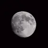 levihartley0 - @levi.hartley6 - TikTok