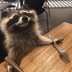 Levi heaton - @marshmellothecat1235 - Instagram