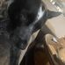 Levi Henderson - Facebook