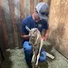 Levi Henderson - @user707595602 - TikTok