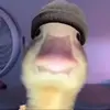 levihendrixkaufman - @levi_kman - TikTok