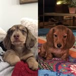 henry + levi - @henry_and_levi - Instagram