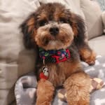 Levi Henry - @levi.moodle - Instagram