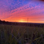 Levi Hilton - Facebook