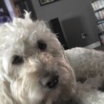 Levi & Hudson - @levi__hudson - Instagram