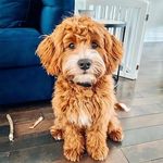 levi hudson - @levihudson57 - Instagram
