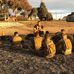 Levi Hudson - Facebook