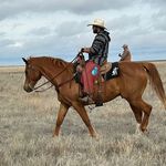 Levi Hull - @kscowboy21 - Instagram