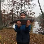 Levi Hullegård - @levihullegard - Instagram