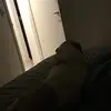 Levi Ingram - @levi_ingram - TikTok
