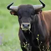 tylerinman507 - @leviinman21 - TikTok