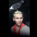 Levi James - @levijamesdesign - Instagram