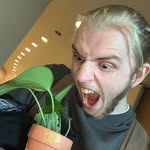 Levi Jeffries - @levi_jeffries - Instagram