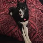 Levi Knotts - @leviknotts - Instagram