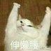 levi_lam - @levi_lam - TikTok