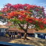 Levindo Lambert Alfenas - @levindolambert - Instagram