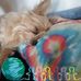 Levi Lambert - Facebook