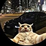 GOLFI TRUCK SPOTTER&BIKER - @levilugosi - Instagram