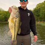 Levi Lyons - @levi.lyons.10 - Instagram