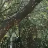 levi.mahony12 - @levi.mahony12 - TikTok