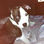 Levi Mason - @levimason41 - Instagram