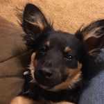 Levi Mathews - @levi.mathews2 - Instagram
