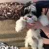 levi - @levimay33 - TikTok