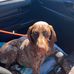 Levi May - Facebook