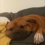 Levi Mcbride - Facebook