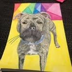 Levi Mckenna - Facebook