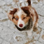 Levi McKenna - @life.of.levi - Instagram