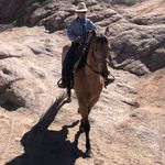 Levi Mcphee - @levi_mcphee - Instagram