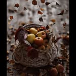 Jejdhf - @levimeier2018 - Instagram