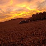 Levi Meyer - @levimeyer4123 - Instagram