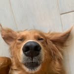 Levi Meyer - @levimeyer24 - Instagram
