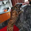 Levi Nagy - @levi.nagy0 - TikTok