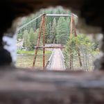 Levi Nichols - @levinichols200 - Instagram