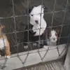Levi_oliver22 - @levi_oliver22 - TikTok