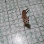 Levi H.ORDOÑEZ - @h.ordonezlevi - Instagram