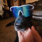 Levi Osborne - Facebook