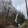 leviosborne335 - @leviosborne335 - TikTok