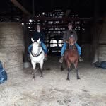 leviosborne - @leviosborne3 - Instagram