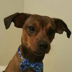Levi Partin - @overwatchpro32 - Instagram