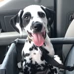 @leviphelps2023 - Instagram