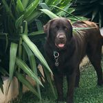 Jeff Levi Pollard - @my_name_is_jeff_2018 - Instagram