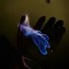 Levi Pollard - @levi.pollard4 - TikTok