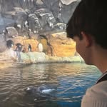 levi poole - @levipoole_ - Instagram